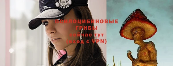 герыч Бородино
